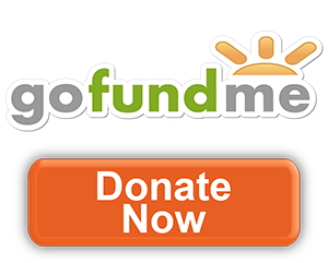 gofundme-donate-button